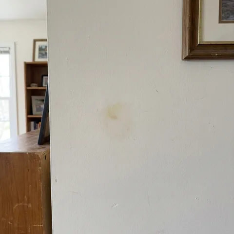 Drywall with a small spreading discoloured patch